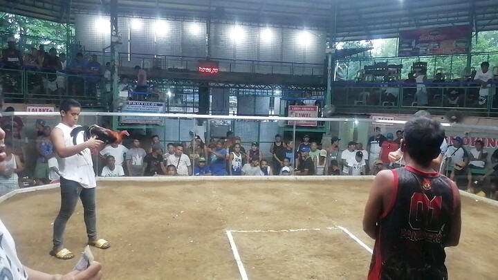 Second fight win 3cocks escalante December2