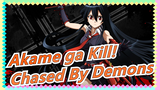 [Akame ga Kill! / Epic & Synced-beat] Chased By Demons For the Last Time1