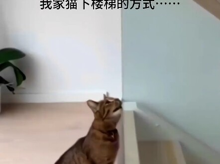 À cái này……