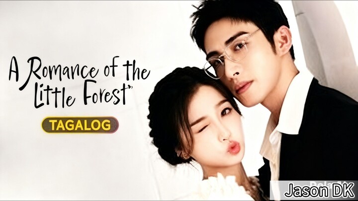 A Romance Of The Little Forest Episode 12 [Tagalog Dub]