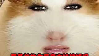 Perjalanan Makan Xiao Xin, si Babi Perempuan