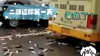 Second Brother Will Make You Laugh All Day