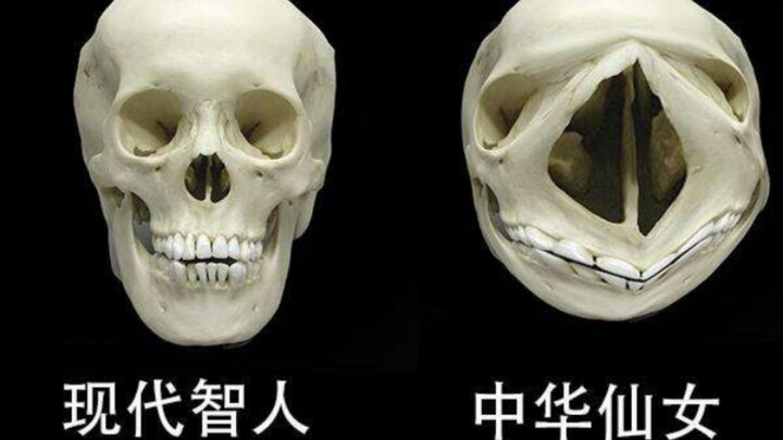 ภาพมีมประจำวัน#16