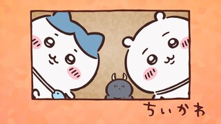 Chiikawa Episode 171 [Chinese Subtitles] | Are they mealworms or worms? Hachi is confused again~ The
