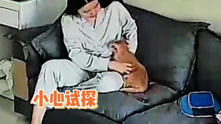 نأمل أن تستمر سعادتنا هكذا إلى الأبد، تشيشي!