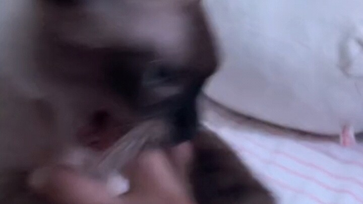 เหตุการณ์เจ้าของเหมืองถ่านหินกัดคน