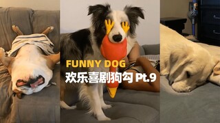 欢乐喜剧狗勾 Pt.9