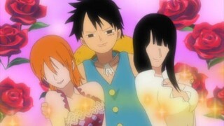 MOMENT LUFFY GARAP NAMI DAN ROBIN