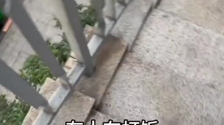 مروع للغاية،