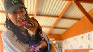 Sao bạn không đi làm người nổi tiếng trên mạng nhỉ