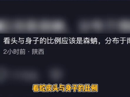 العمّ يجلب جلد ثعبان ضخم إلى معرض الأدوية.