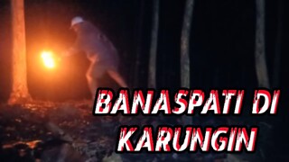 karungin banaspati