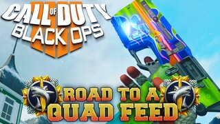 THIS THING SLAPS!? | Road To a Quad Series #12 - Kap-45 (BO4)