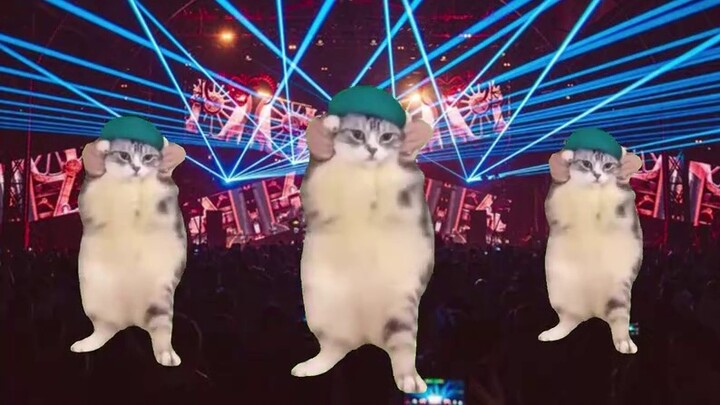 [Cat Meme] แฟนของฉันเลิกกันหลังจากที่เธอเข้าศึกษาต่อ แต่เพื่อนร่วมห้องในวิทยาลัยของเธอสนับสนุนเธอมาเ