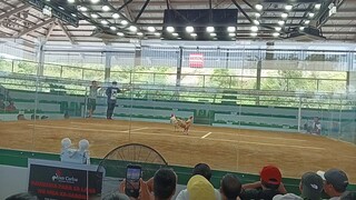 San Carlos cockpit arena Puerto princessa Palawan