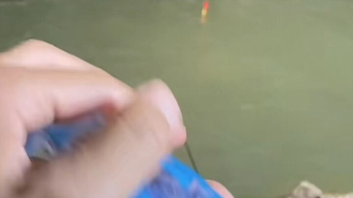 Do you bait your fishing spot?