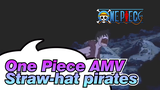 One Piece AMV 
Straw-hat pirates_2