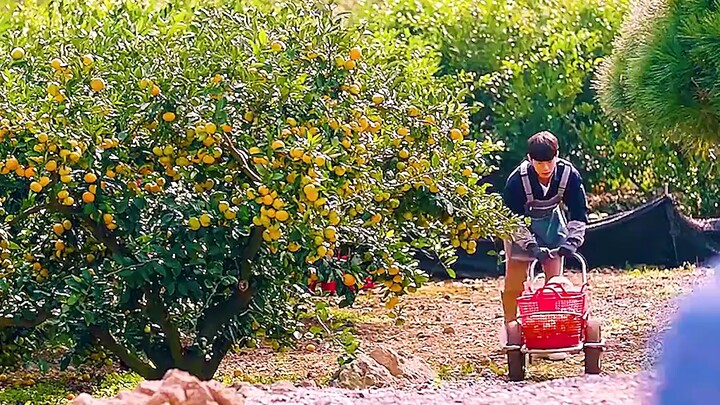 Girl Pregnant: She's Only 16, Yet She's Already Using a Pregnancy Test—And Her Father Doesn't Know