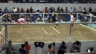 4hits argem col. 3rd fight win