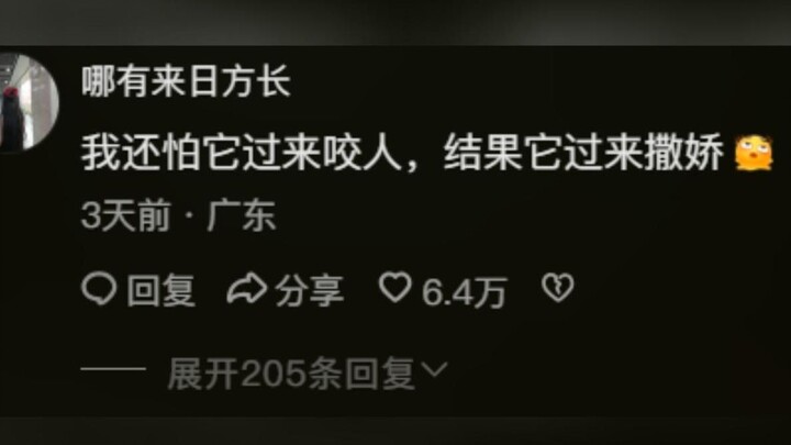 That’s a clouded leopard; any ordinary kitten would’ve scratched you by now.