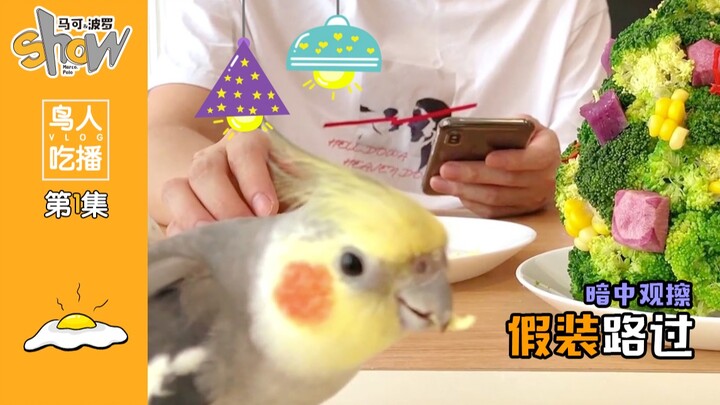 Don’t record mukbang with a parrot—you’ll never win!