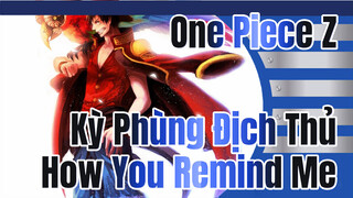 How You Remind Me | One Piece Film: Z  Kỳ Phùng Địch Thủ