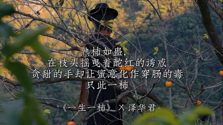 "A Lifetime with One Persimmon" — Don't wonder whether other persimmons are sweet or not~ #ZehuaJun 