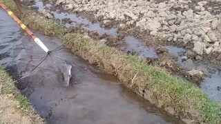 户外捕鱼