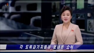 Experiência de pecuária da província de Hamgyong Sul