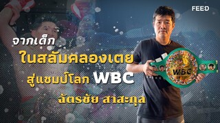 "ฉัตรชัย สาสะกุล" จากเด็กในสลัมคลองเตย สู่นักมวยแชมป์โลก WBC : FEED