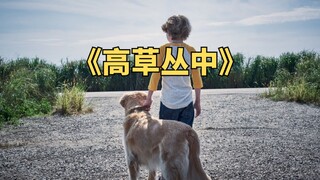 兄妹俩误入神秘草丛，陷入无限循环之中《高草丛中》