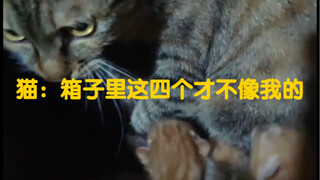 Merasa itu anaknya sendiri, mau bilang apa pun tetap akan menyeretnya ke sarangnya sendiri