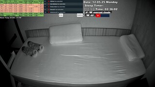 Sleep Stream 12.05.2025