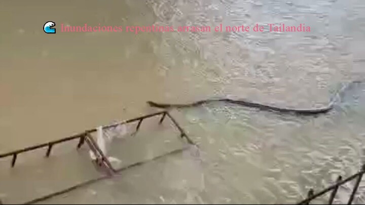 🌊 Inundaciones repentinas arrasan el norte de Tailandia