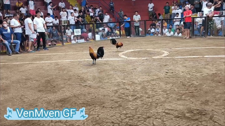 03/20/2024 2 hits ulutan Entry name: HBD Boss Mven & Jelai-2Champion(1-1)First fight