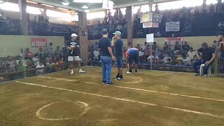 4hits ulutan champion 🏆🏆🏆🏆🏆🏆🏆🏆🏆🏆🏆🏆🏆🏆🏆🏆🏆🏆🏆🏆🏆🏆🏆🏆🏆🏆🏆🏆🏆🏆🏆🏆🏆🏆🏆🏆🏆🏆🏆