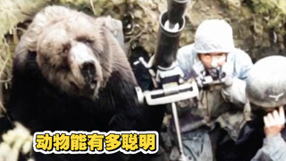 【Youyisi 2025】The latest video is coming, come and take a look!