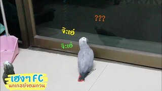 EP.245 ไม่มีใครเล่นด้วย เฮงเล่นกับเพื่อนในกระจกก็ได้