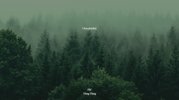 『Oneplaylist』躺在幽远的森林里，听雨滴落下的声音 | rainy day playlist
