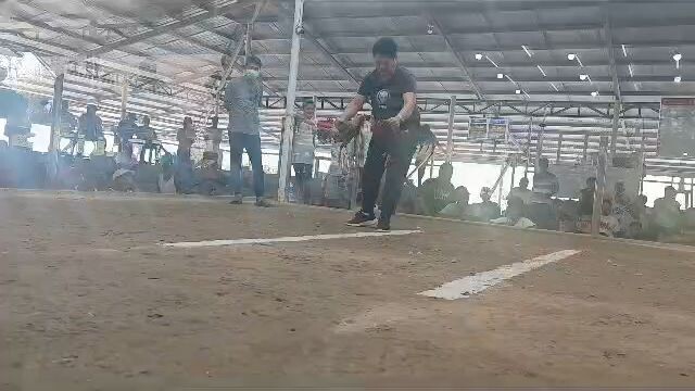 nice one our bulik win