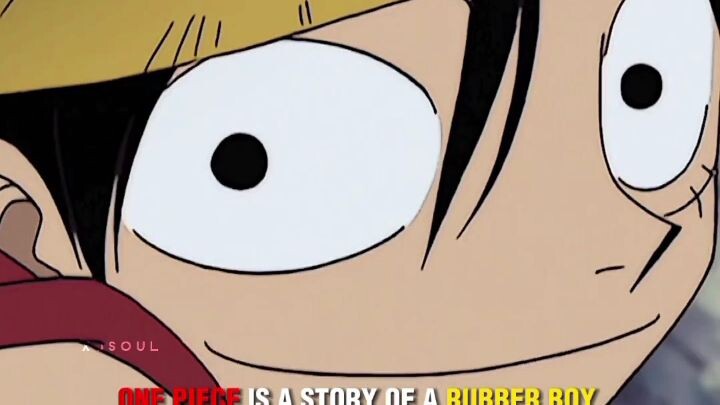 Dark Secret in Onepiece
