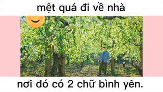 bình yên đến lạ #dailyvlog#life#chill