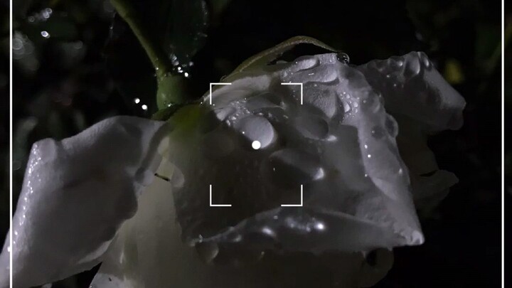 Một chút nhạc ╮(. ❛ ᴗ ❛.)╭