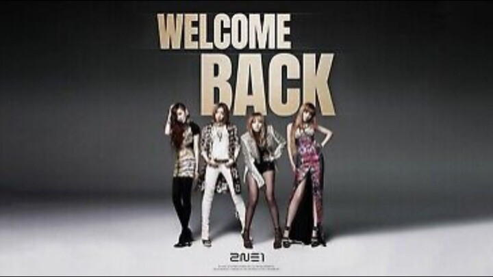 2NE1 Concert 'Welcome Back' In Japan (2024)