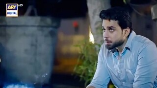 generayed-video 4878877mp4