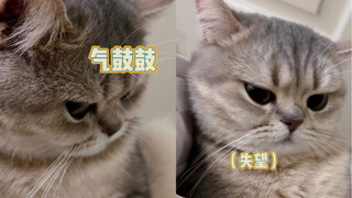 你就不能哄哄我吗？