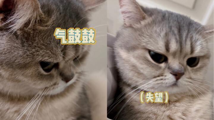 你就不能哄哄我吗？