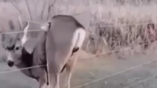 你是懂报恩的