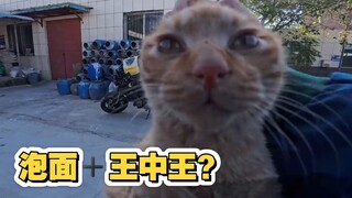 Nasi bungkus, hari ini aku akan mengantarmu untuk memberikan hadiah besar!