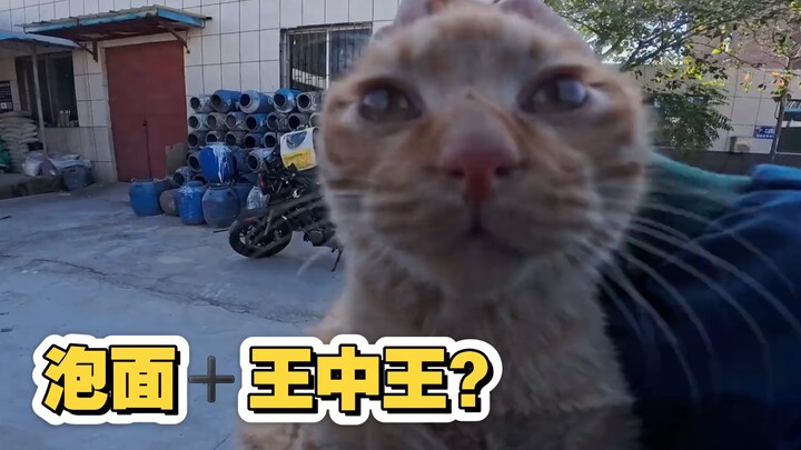 باقات الأرز، اليوم سأصحبك لتقديم هدية عظيمة!